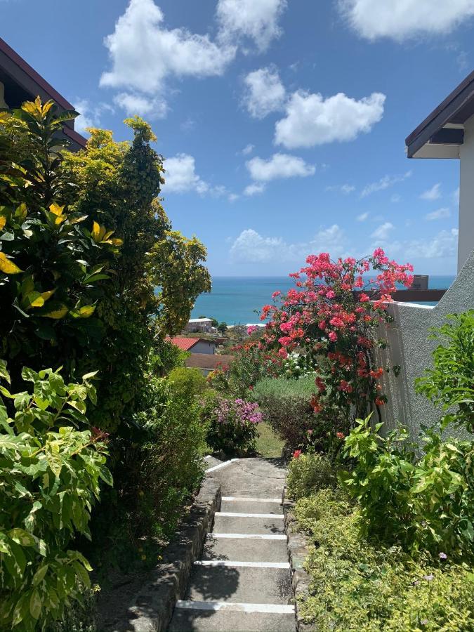 Vista Mare - Cozy Apartment With Beach At Walking Distance Dickenson Bay Exterior foto