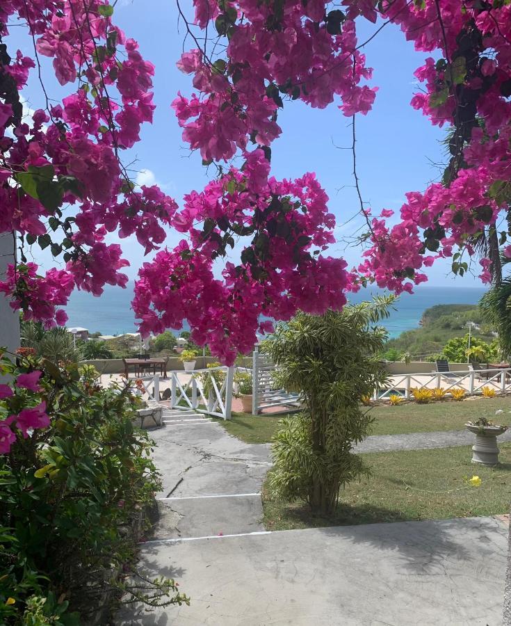 Vista Mare - Cozy Apartment With Beach At Walking Distance Dickenson Bay Exterior foto